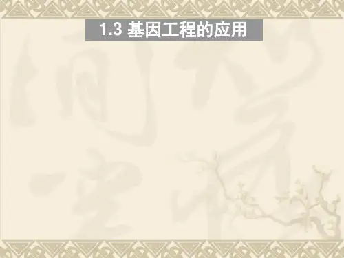 人教版选修3高中生物1.3 《基因工程的应用》课件