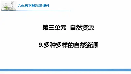 2023最新苏教版六年级下册科学9.多种多样的自然资源 课件