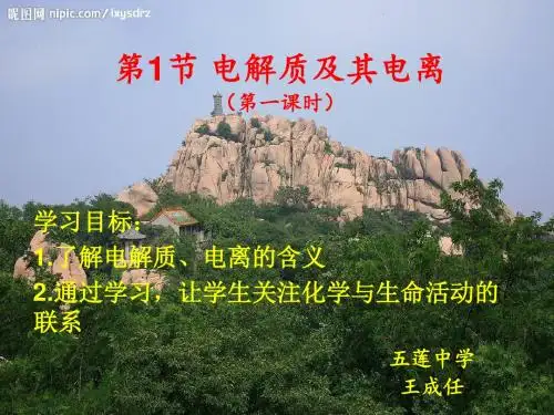 电解质PPT课件27(8份打包) 鲁科版