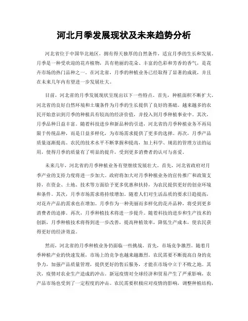 河北月季发展现状及未来趋势分析