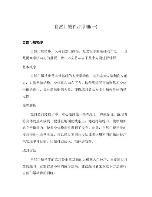 自然门矮裆步原理(一)