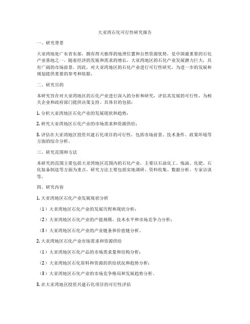 大亚湾石化可行性研究报告