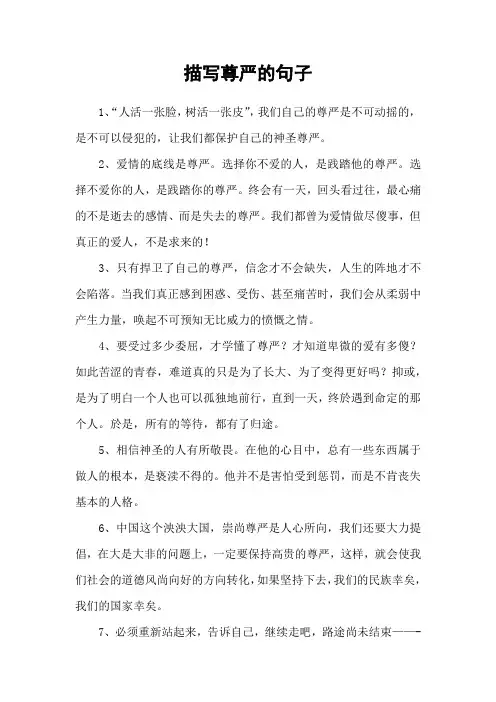 描写尊严的句子