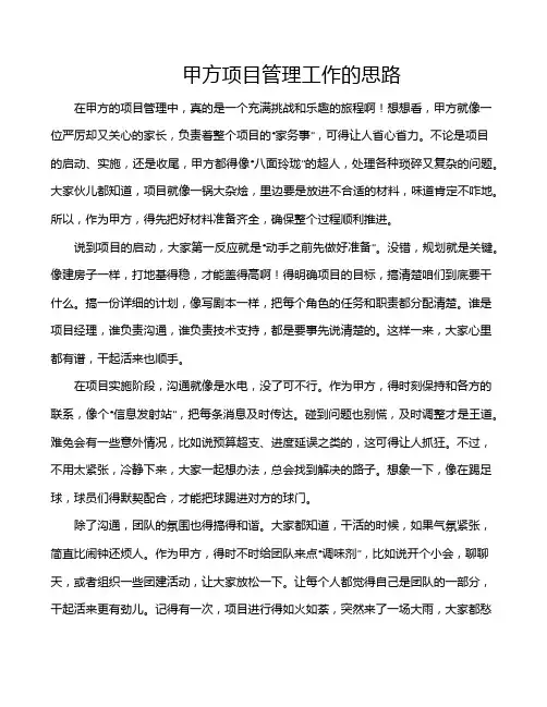 甲方项目管理工作的思路