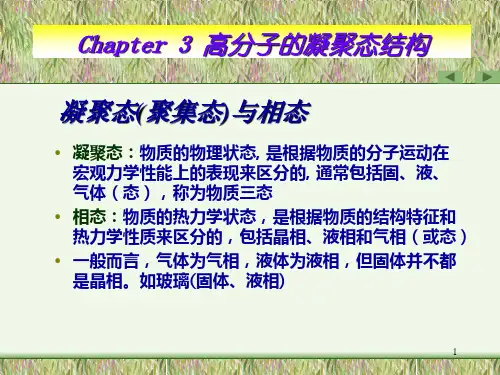 聚合物凝聚态结构