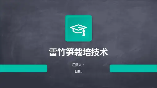 雷竹笋栽培技术