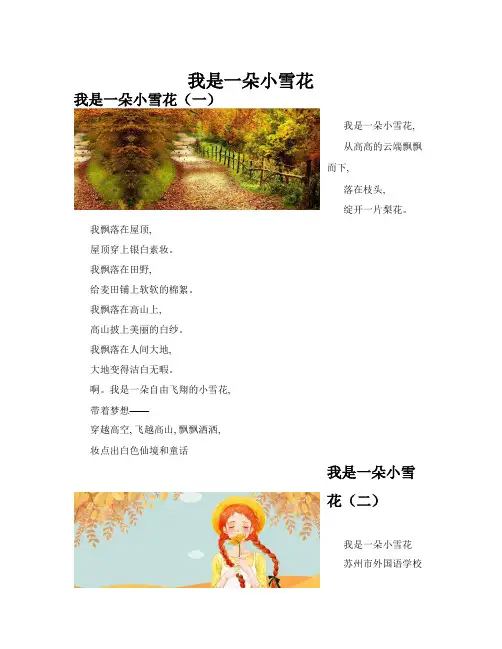 我是一朵小雪花(共10篇)