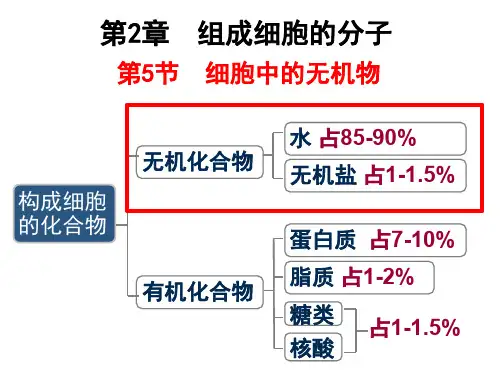人教版高中生物必修一课件：2.5细胞中的无机物(共19张PPT)