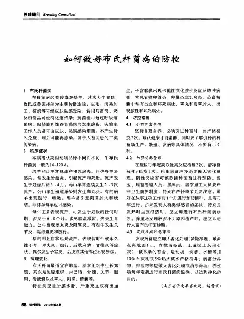 如何做好布氏杆菌病的防控