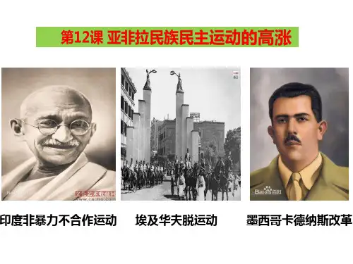 人教部编版九年级历史下册全册课件