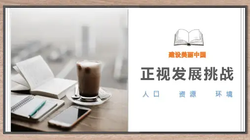 人教部编版道德与法治九年级上册：《正视发展挑战》教学课件(共21张PPT)