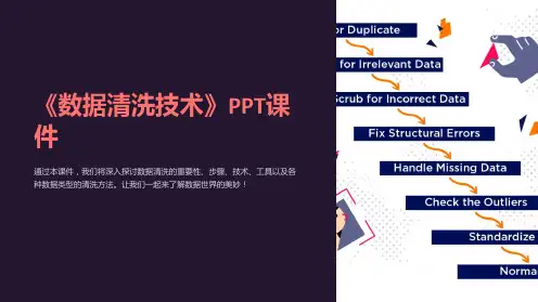 《数据清洗技术》课件