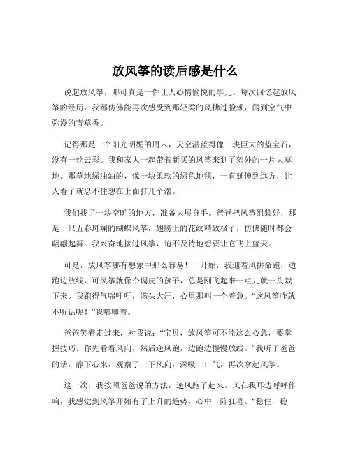 放风筝的读后感是什么