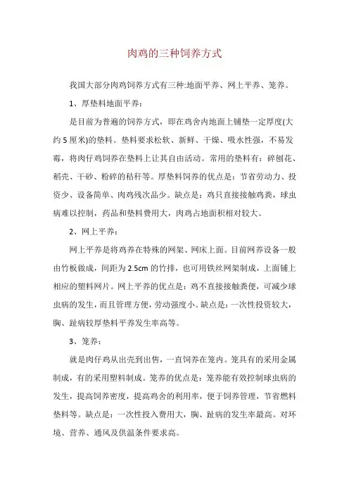 肉鸡的三种饲养方式