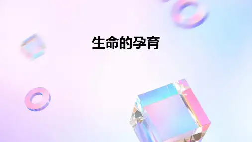 《生命的孕育》课件