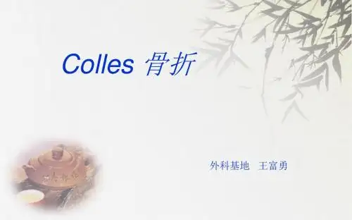 骨折解析PPT课件
