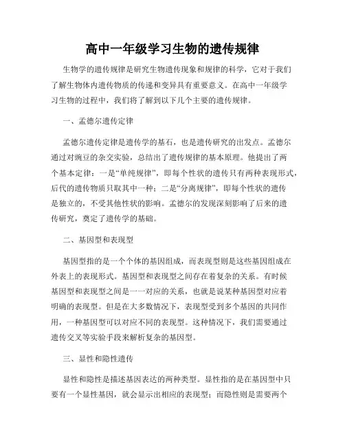 高中一年级学习生物的遗传规律