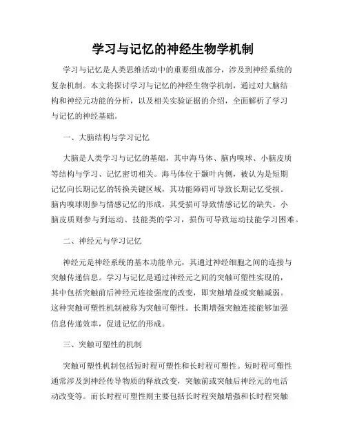 学习与记忆的神经生物学机制
