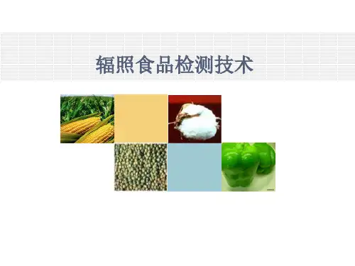 辐照食品检测技术详解