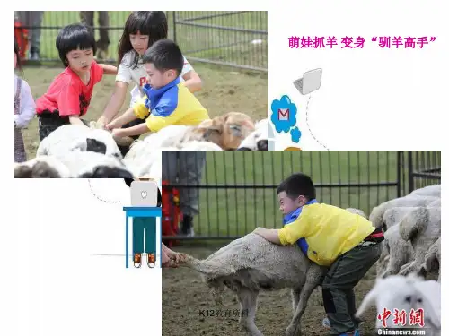 七年级道德与法治下册 第三单元 在集体中成长 第六课“我”和“我们”第2框 集体生活成就我课件2