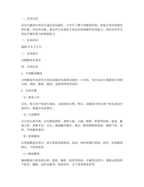实训报告犬解剖
