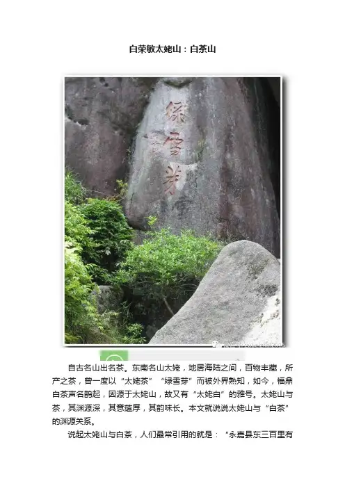 白荣敏太姥山：白茶山
