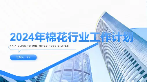 2024年棉花行业工作计划