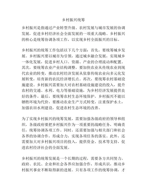 乡村振兴统筹