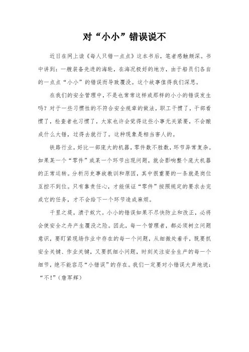 对“小小”错误说不