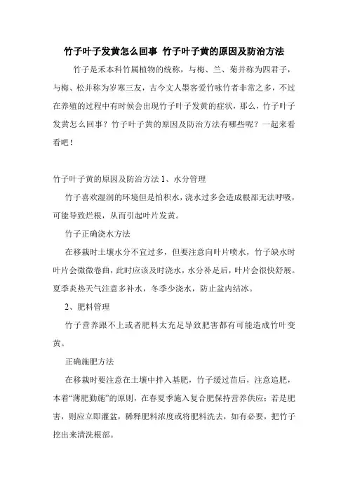 竹子叶子发黄怎么回事 竹子叶子黄的原因及防治方法.doc