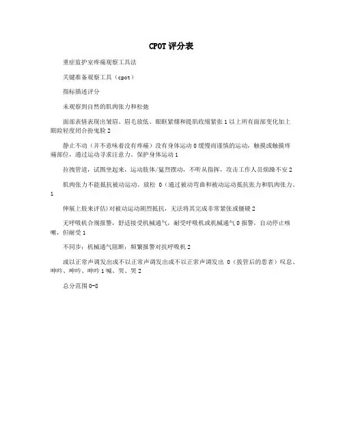 CPOT评分表