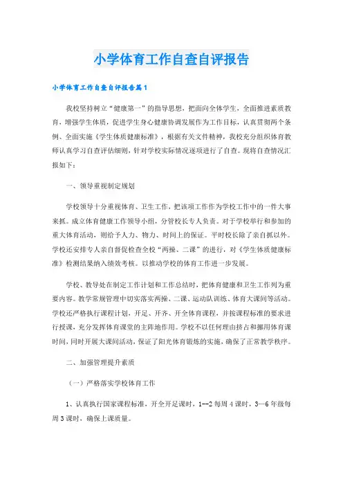 小学体育工作自查自评报告
