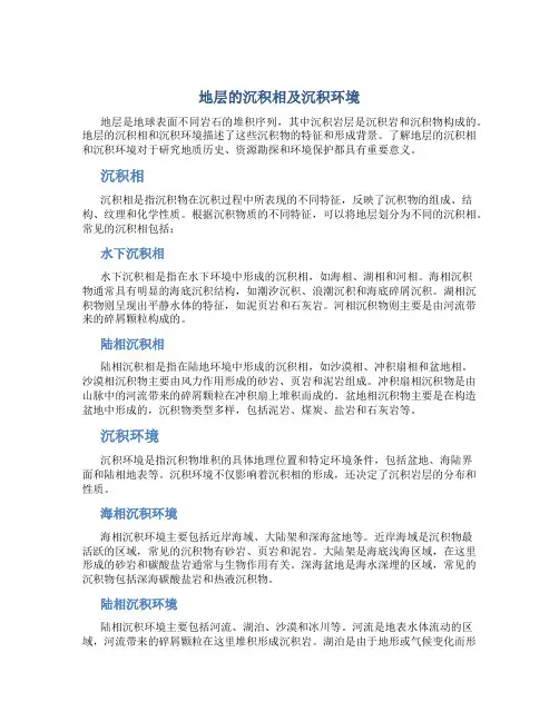 地层的沉积相及沉积环境