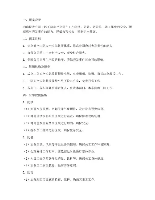 三防专项安全应急救援预案