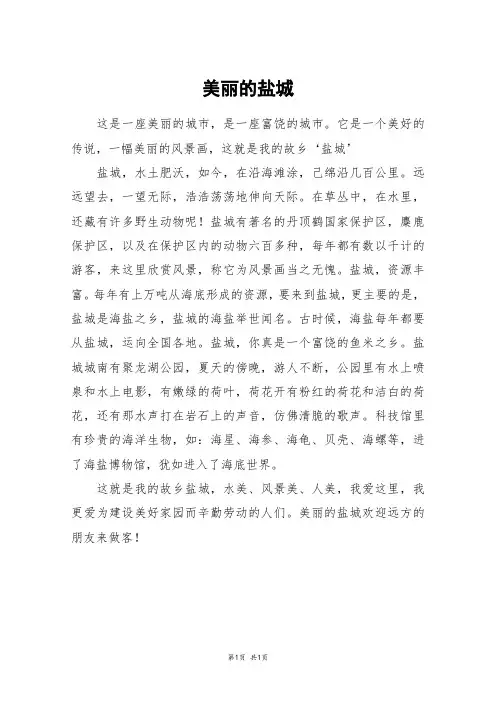 美丽的盐城_六年级作文_8