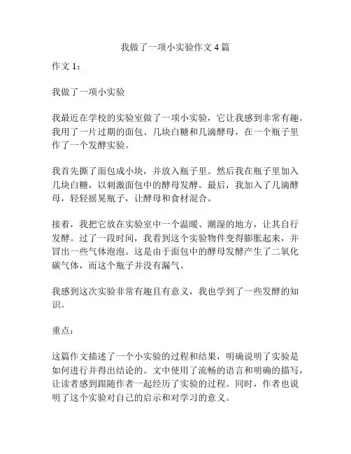 我做了一项小实验作文4篇