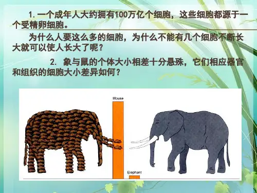 高中生物必修一 细胞增殖 PPT课件 图文