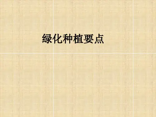 绿化苗木栽植技术手册