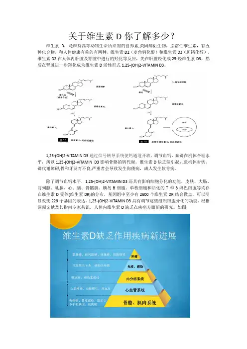 关于维生素D你了解多少