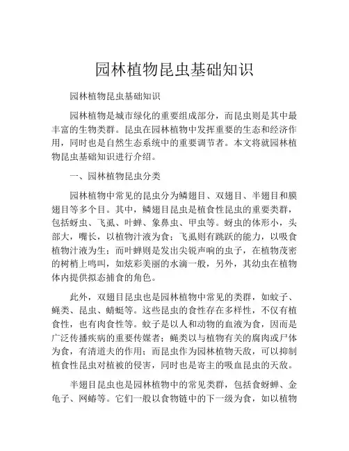 园林植物昆虫基础知识