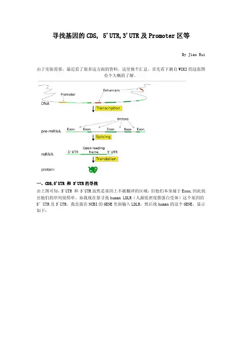寻找基因的CDS, 5'UTR,3'UTR及Promoter区等