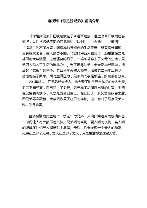 电视剧《你是我兄弟》剧情介绍