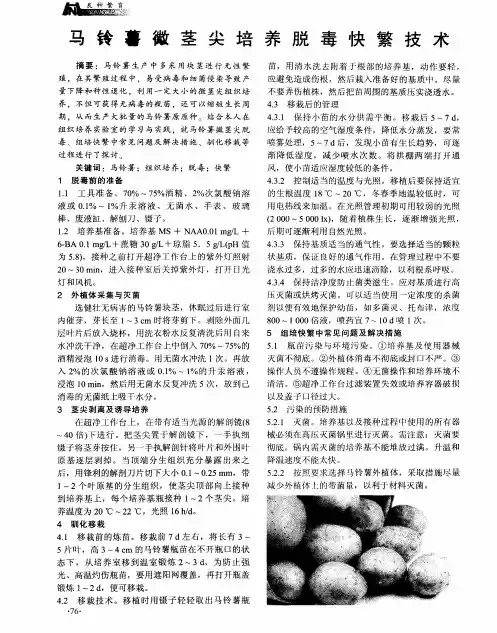 马铃薯微茎尖培养脱毒快繁技术
