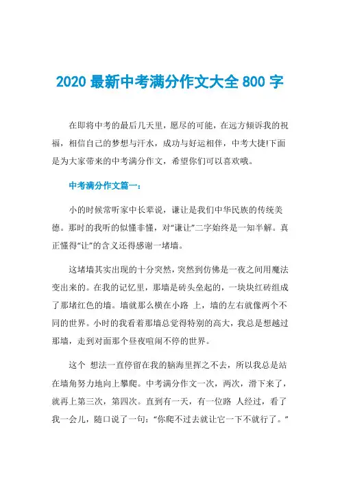 2020最新中考满分作文大全800字