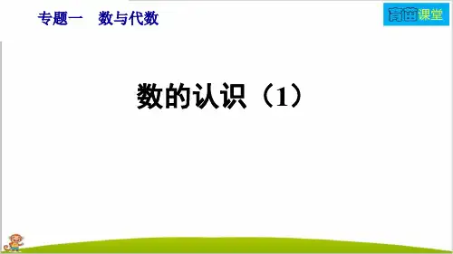 人教部编版六年级数学下册总复习专题一：数与代数第1课时  数的认识(1)课件
