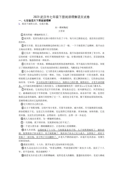 2023武汉市七年级下册阅读理解语文试卷