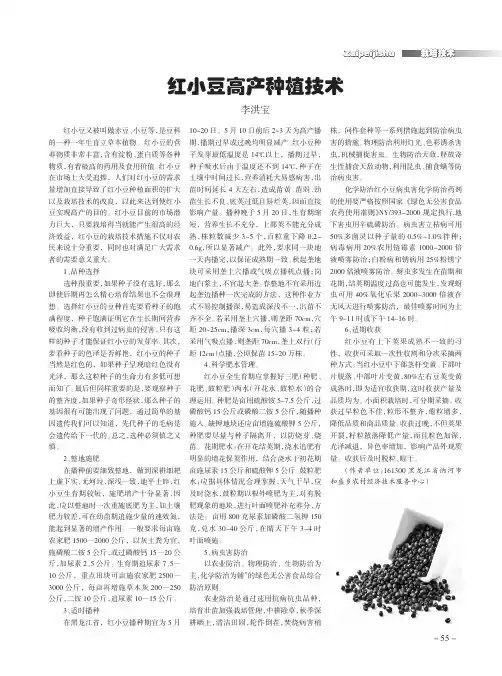 红小豆高产种植技术