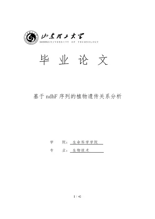 基于ndhF序列的植物遗传关系分析毕业论文