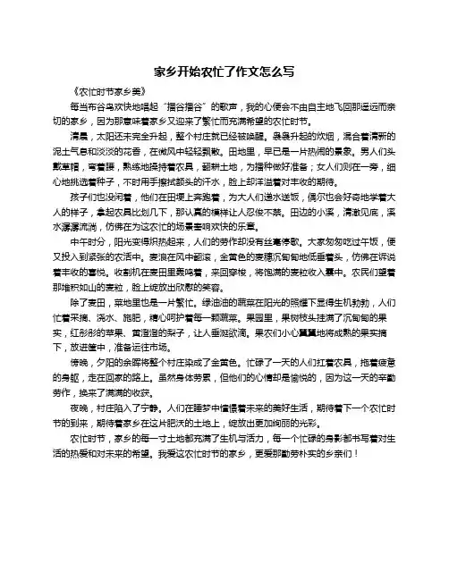 家乡开始农忙了作文怎么写