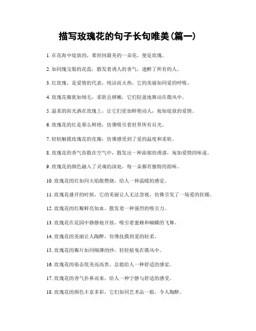 描写玫瑰花的句子长句唯美(精选2篇)